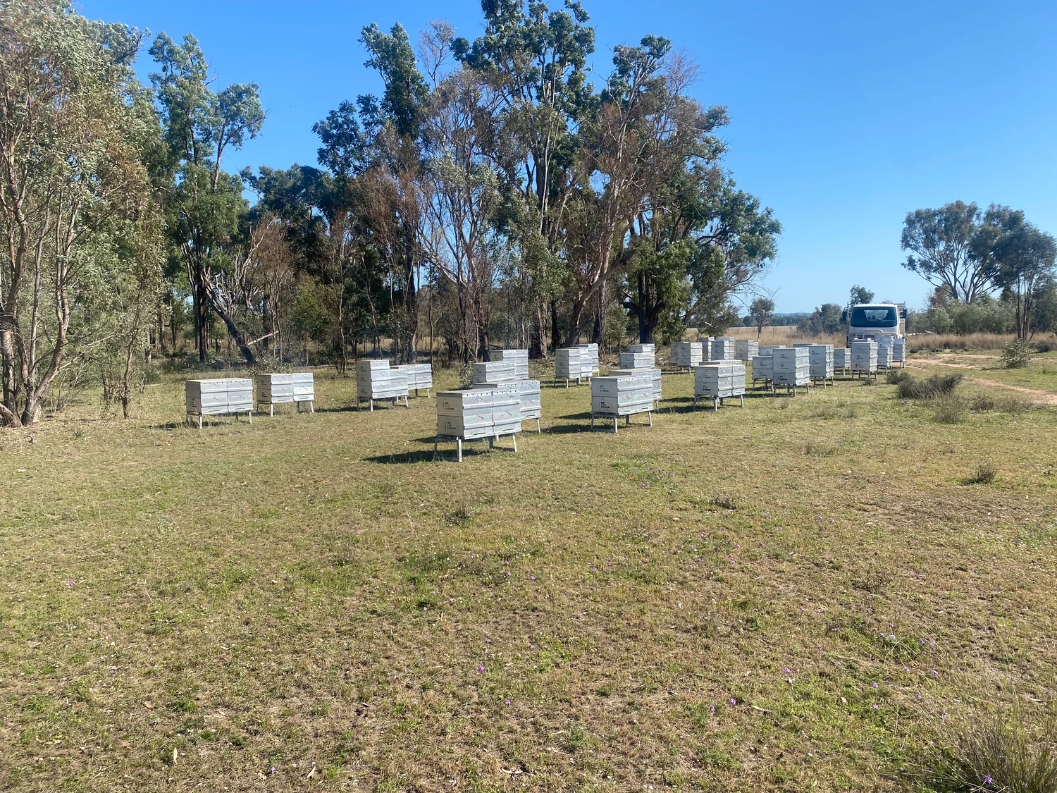 Bee-Ready Fashion for Beekeepers
