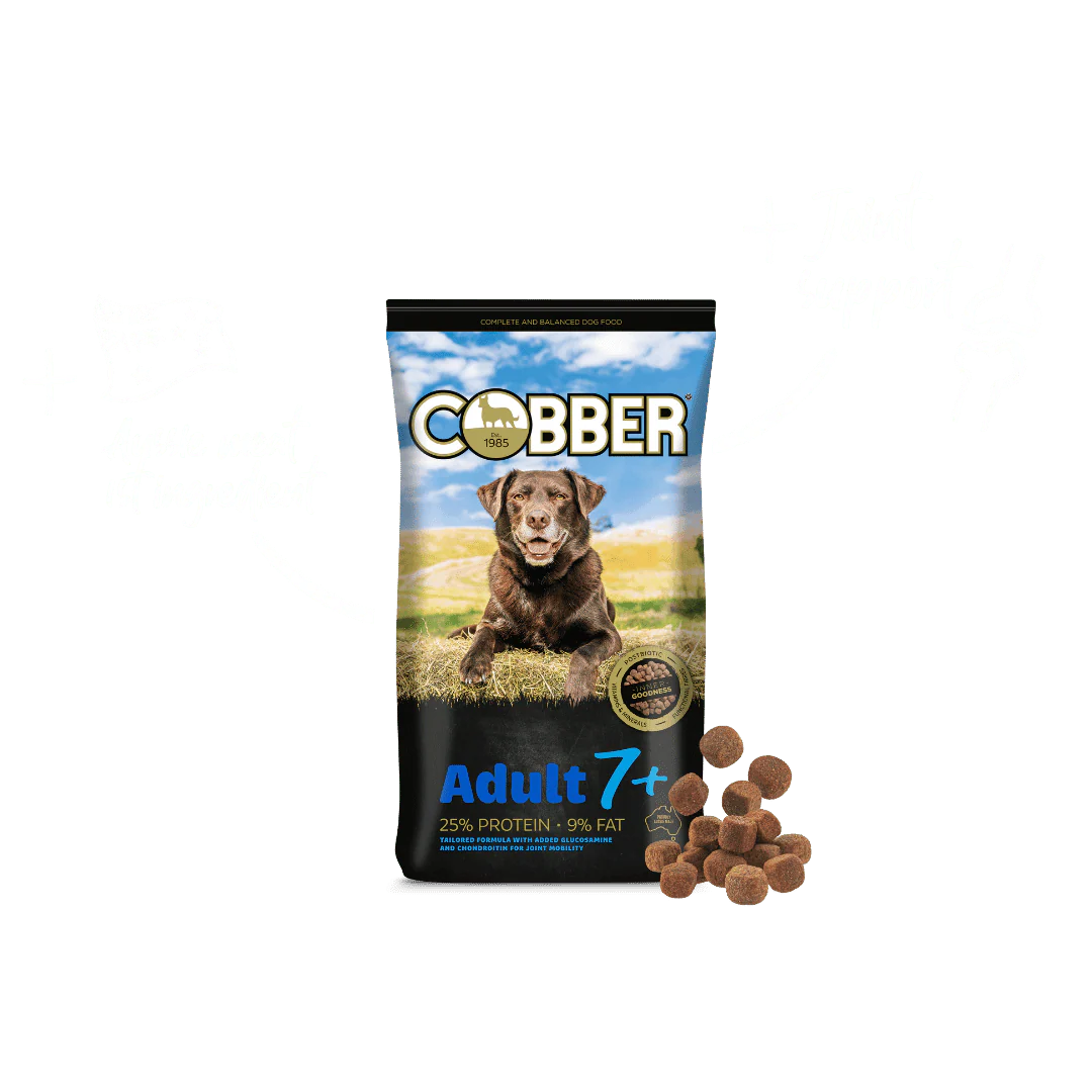 Cobber Adult 7+ 20kg Dog Food