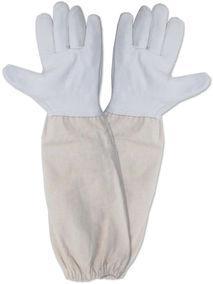 Equipment Beginner Pack - Image 4