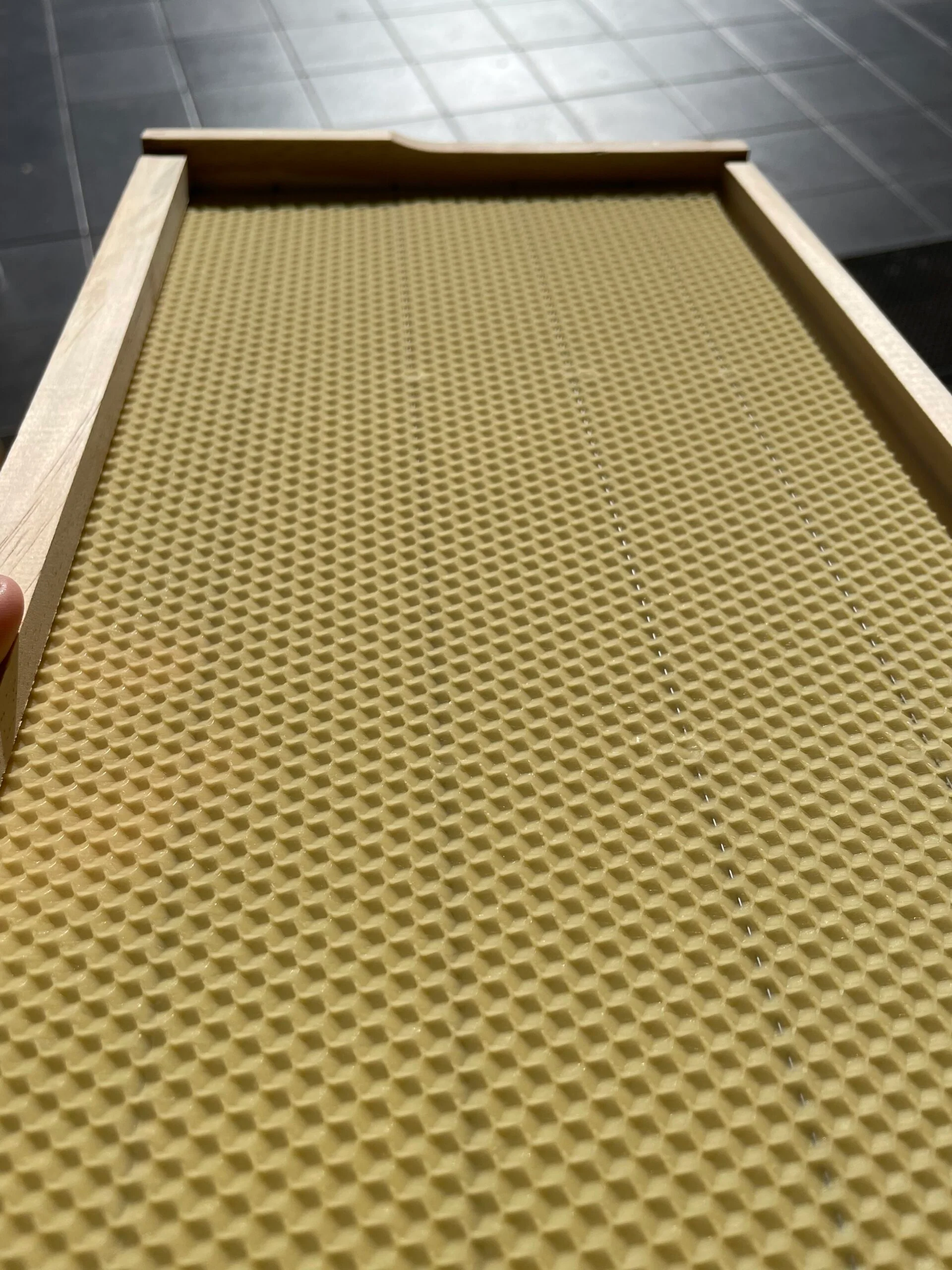 Frame with Wax Foundation - Image 3
