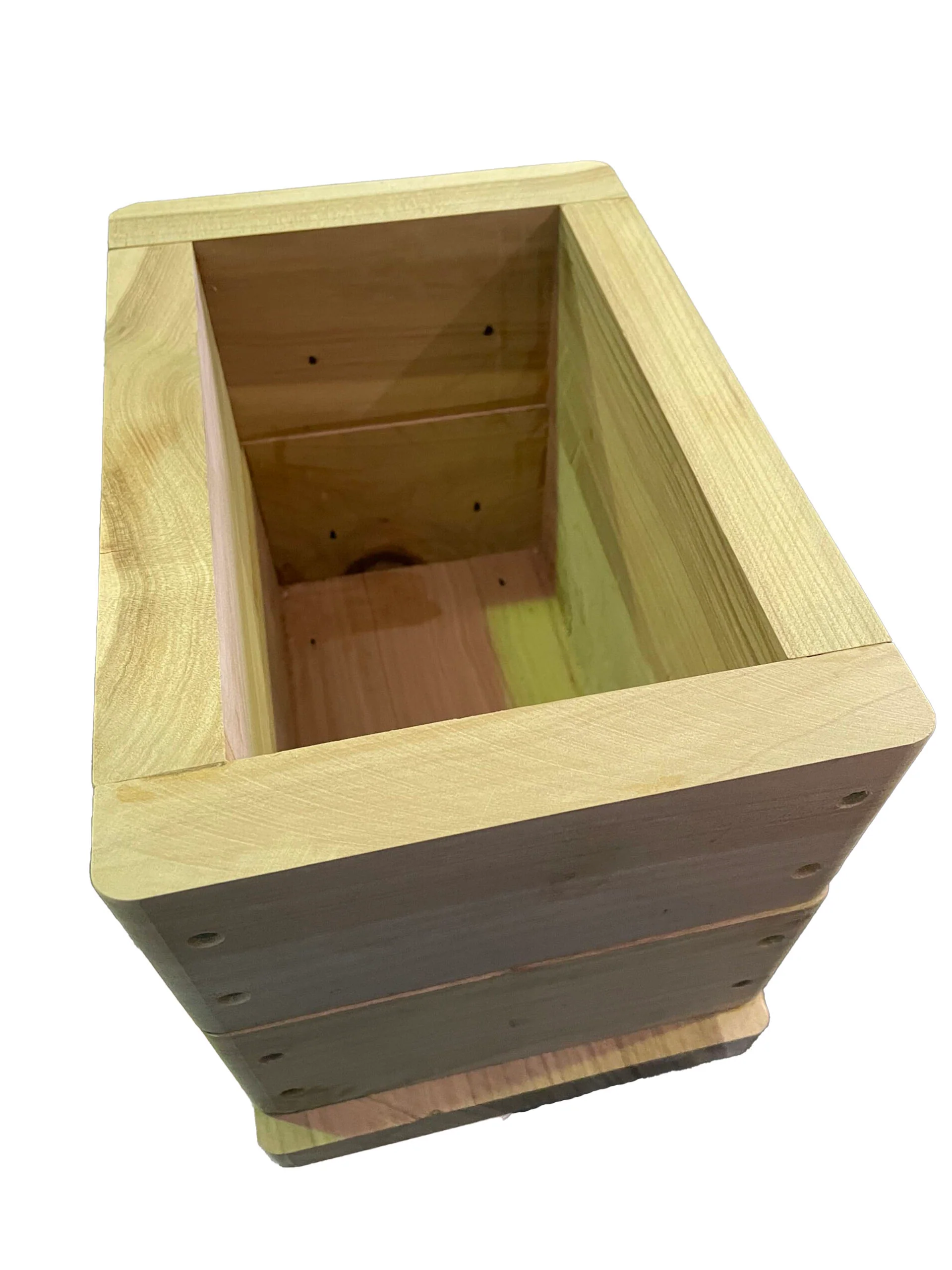 Native Bee Hive Oath Size - Image 4