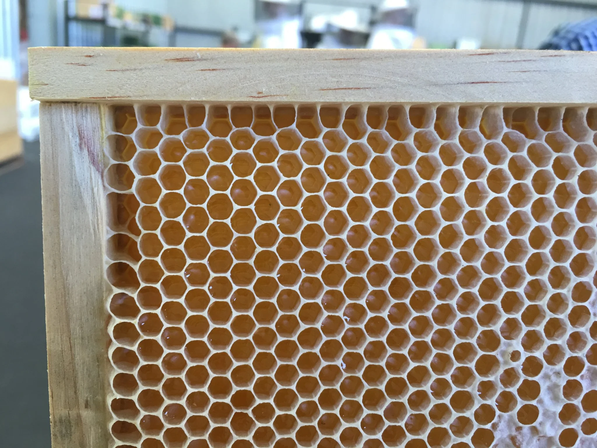 Plastic Foundation Insert Full Depth - Image 3