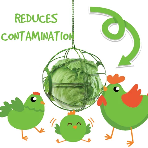 Poultry Vege Basket - Image 2