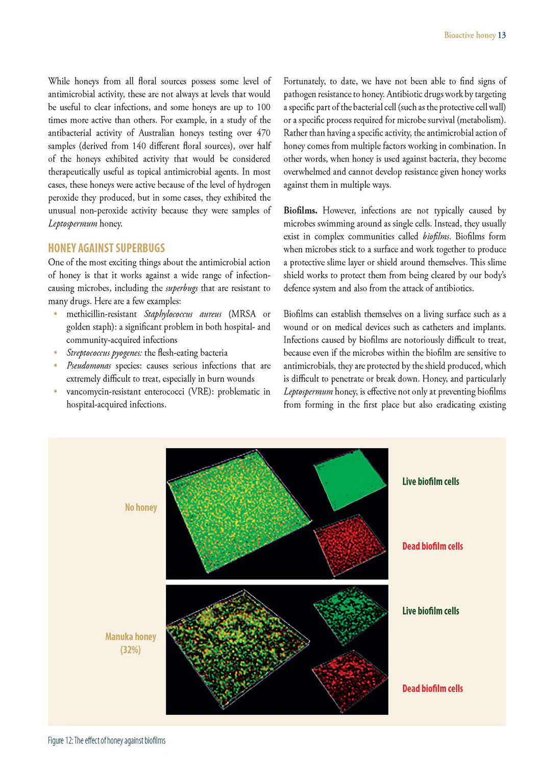 Products of The Hive - Image 3