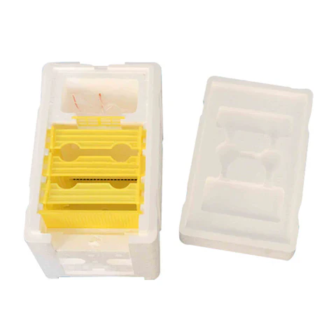 Queen Bee Mating Box - Image 2
