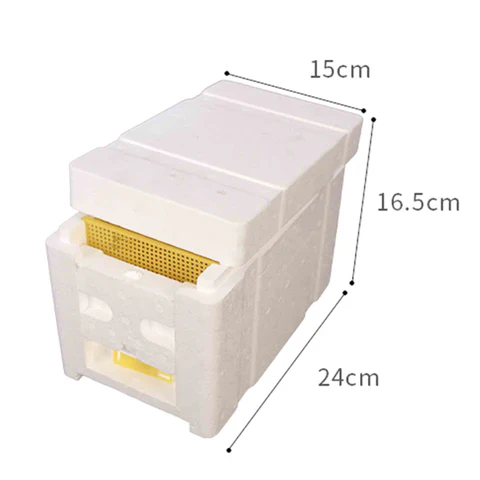 Queen Bee Mating Box - Image 3