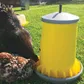 Supreme Poultry Feeder - Image 2